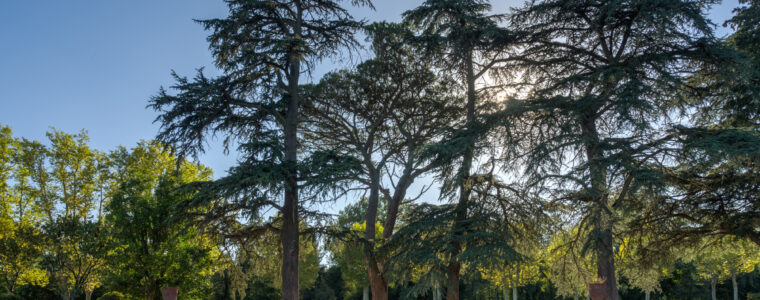 Domaine rochemontes 24